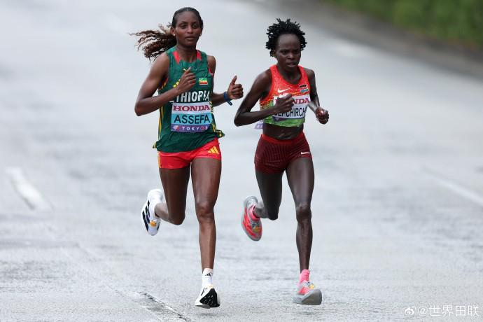 凯尔特人连,胜太阳,赛场七战全,世界杯赛程,2026世界杯,比赛时间,举办城市,参赛球队