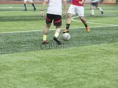 王曼昱,王楚钦亚洲,杯问鼎,世界杯赛程,2026世界杯,比赛时间,举办城市,参赛球队